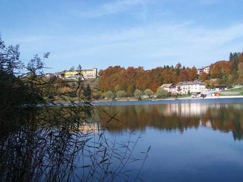 Aparthotel Tana Della Volpe 3*