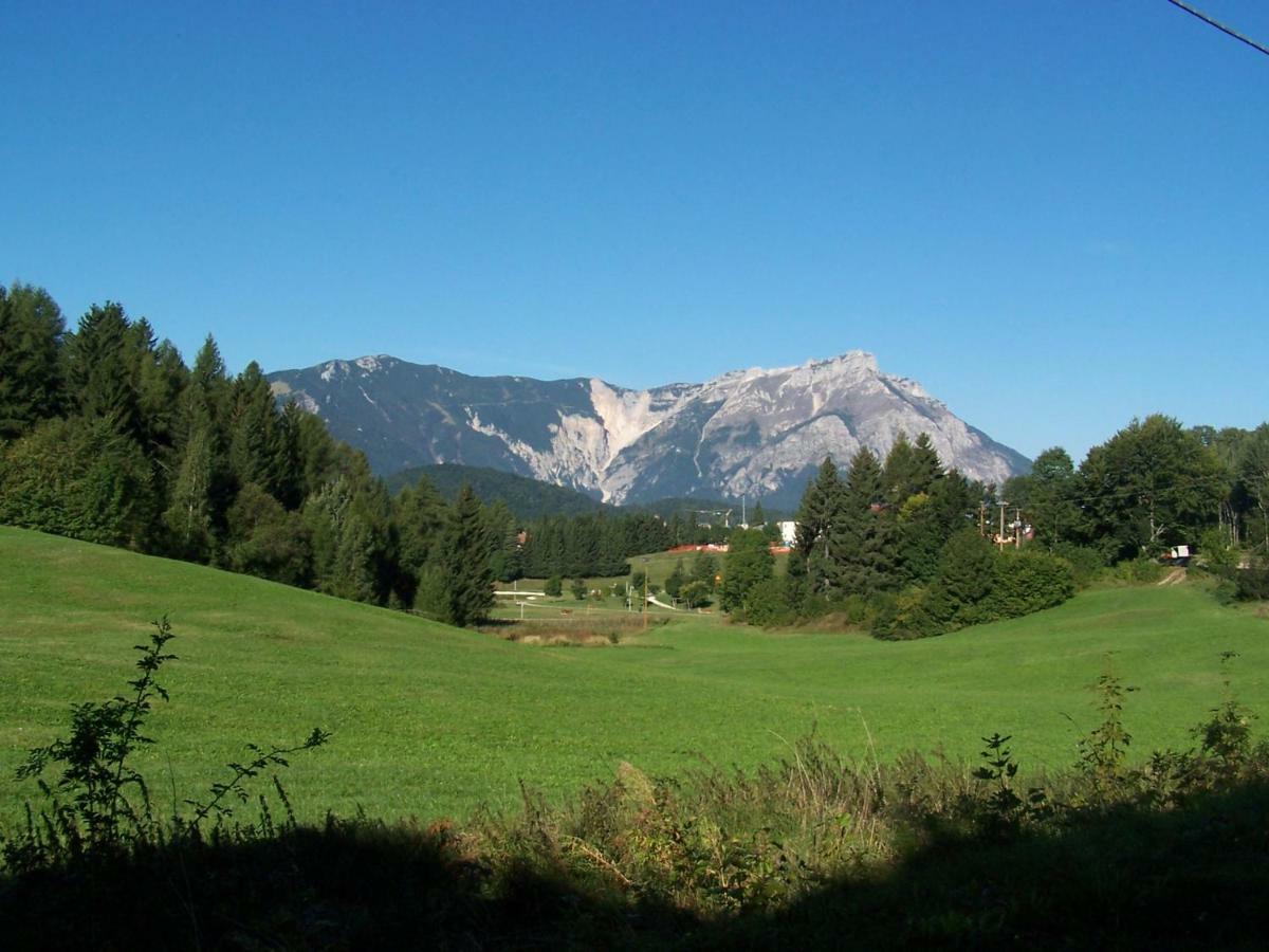 Aparthotel Tana Della Volpe 3*